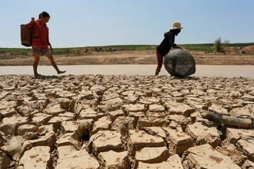 Thế giới chống chọi hạn hán chưa từng thấy 