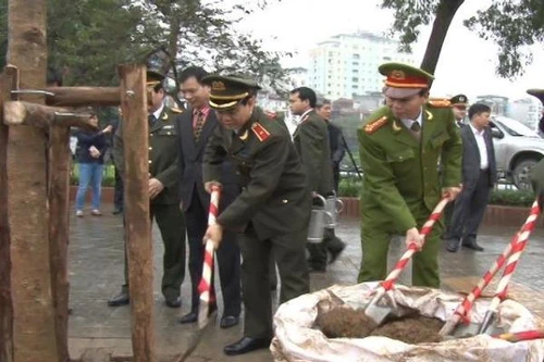 Trồng cây xanh lâu năm tạo cảnh quan cho đô thị 