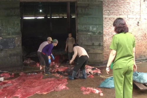 Phát trên 1 tấn da trâu, bò bốc mùi xú uế