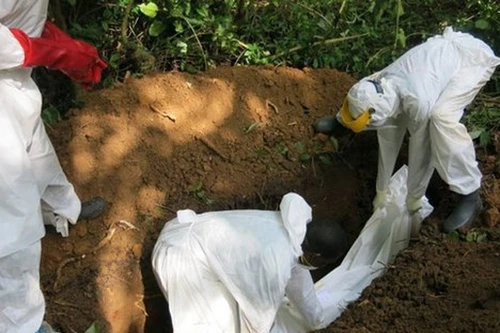 Sierra Leone: Mang xác bệnh nhân đi “rải” nơi công cộng