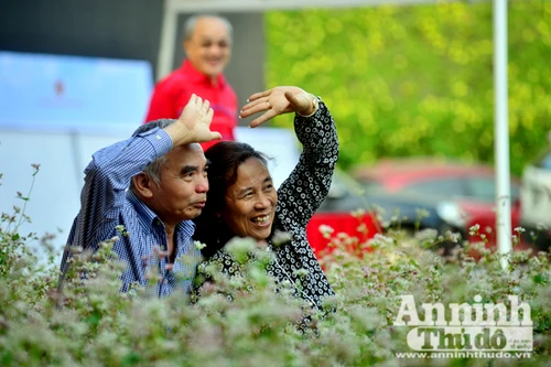 Ấn tượng đôi bạn già tạo dáng 'xì-tin' cùng hoa tam giác mạch bên hồ Gươm