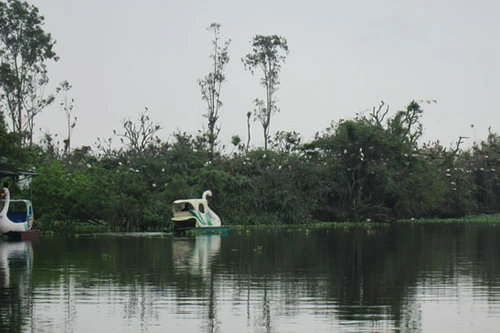 Những bí mật của “đảo Cò”