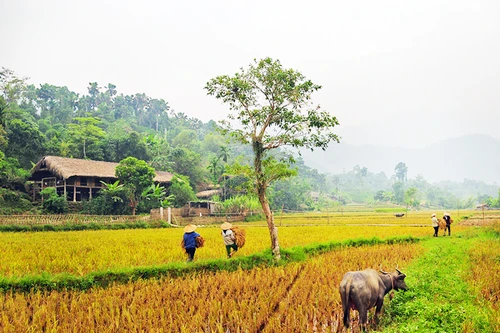 Ghé bản Nà Ràng khói sương