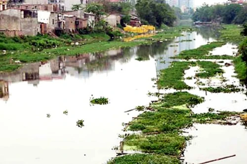 Đem nước tinh khiết cho dân làng "ung thư"