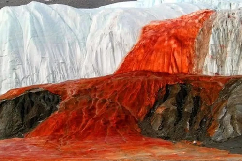 Bí ẩn thác nước "chảy máu" ở Nam Cực