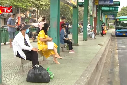 Bổ sung hơn 2.500 điểm dừng xe buýt tại Hà Nội 