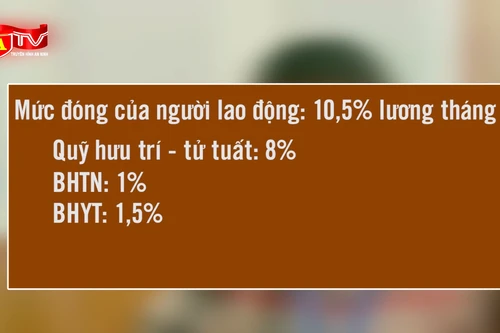 Chi tiết mức đóng BHXH bắt buộc từ ngày 1/7 