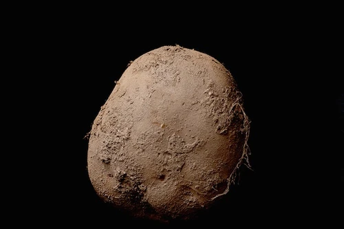 Bức ảnh chụp khoai tây được bán với giá 1 triệu euro