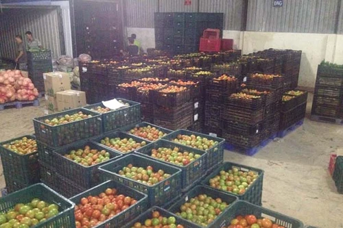 Cà chua Đà Lạt rớt giá, Big C tranh thủ gom hàng