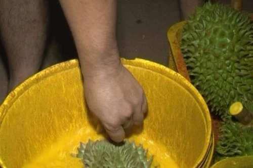 Từ ngày 1-7, hành vi buôn bán, sử dụng chất cấm trong chăn nuôi sẽ bị xử lý hình sự