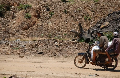 Điêu đứng vì “vàng tặc”