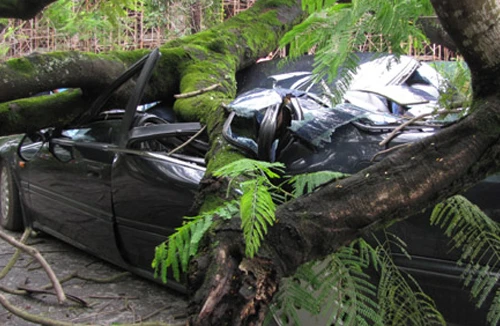 Chịu thiệt vì... không mua bảo hiểm