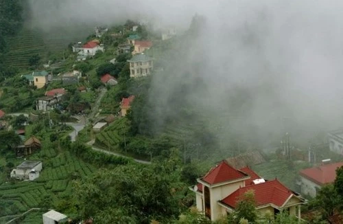 Lên Tam Đảo “tắm” sương