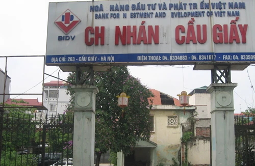 Nhếch nhác và phản cảm!