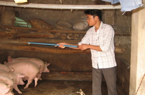 Tìm ra nguyên nhân, tù mù giải pháp