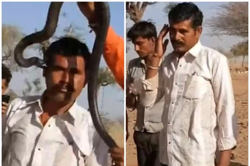 Chụp ảnh cùng rắn độc, du khách bị cắn và tử vong sau đó 1 giờ