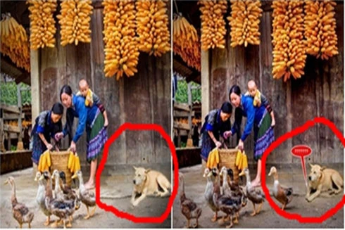 Thêm một bức ảnh đoạt HCV bị tố chắp ghép