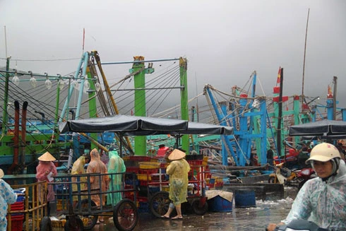 Sáng nay, bão số 4 đổ bộ Quảng Ngãi, Đà Nẵng