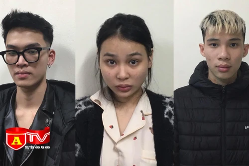 Tổ chức sử dụng trái phép ma tuý trong nhà trọ