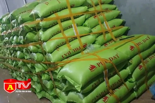 Tạm giữ hơn 40 tấn hạt đậu tương có dấu hiệu giả nhãn hiệu