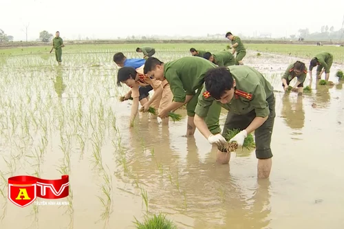 Nhiệm vụ đặc biệt trên cánh đồng vụ chiêm xuân