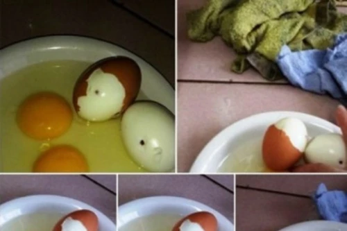 Cục Phòng, chống HIV/AIDS- Bộ Y tế: Trứng gà nhiễm HIV chỉ là tin đồn thất thiệt