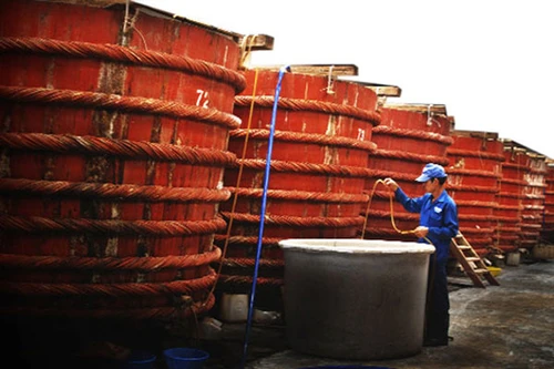 Nhiều người tiêu chảy vì nước mắm rởm của ông trùm xứ Nghệ