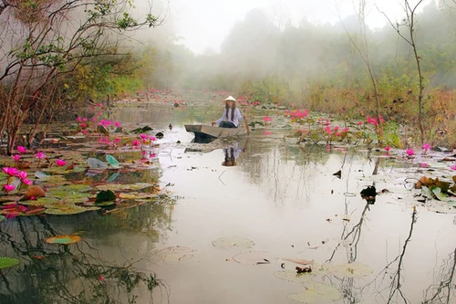 "Hương sắc trăm miền"