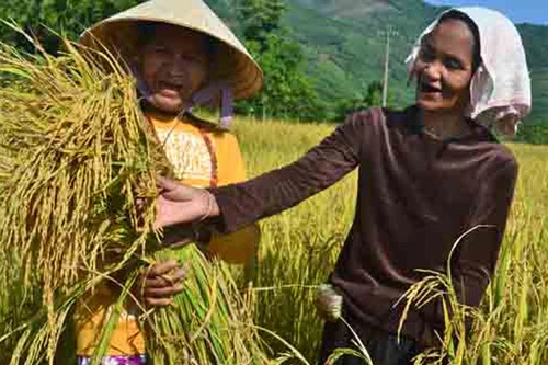 Tỷ lệ hộ nghèo dân tộc thiểu số giảm 3-4%/năm