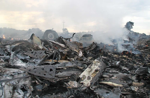 Interpol sẵn sàng giúp xác minh nạn nhân vụ máy bay MH17 bị bắn hạ tại Ukraine