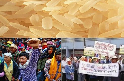 Nông dân Thái Lan dọa chiếm các kho gạo trên cả nước