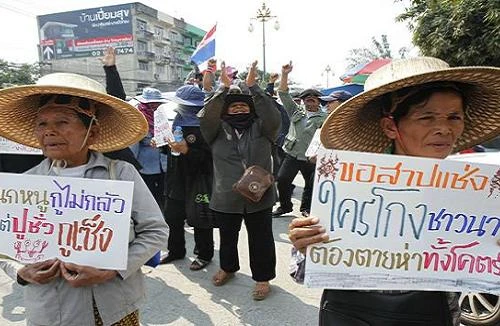 Biểu tình làm hàng triệu gia đình nông dân Thái Lan bị đói