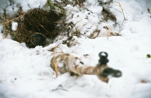 Đội đặc nhiệm lừng danh “Alpha” của Nga vô địch châu Âu môn bắn tỉa