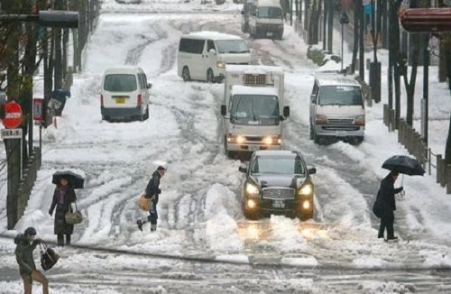 Nhật: 3 người chết và 850 người bị thương vì bão tuyết