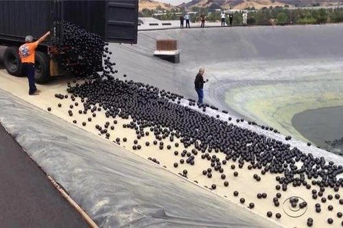 Dùng bóng nhựa để giữ nước mùa hạn