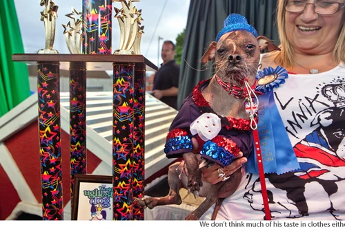 Cùng "ngắm" chú chó xấu nhất thế giới