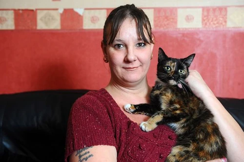 Chú mèo cứu nạn chủ nhân trong đám cháy 