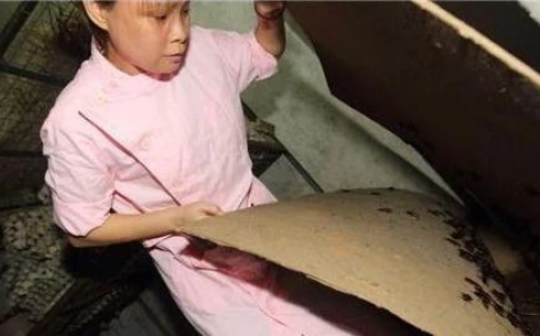 Người phụ nữ nuôi 100.000 con gián làm thuốc chữa bệnh