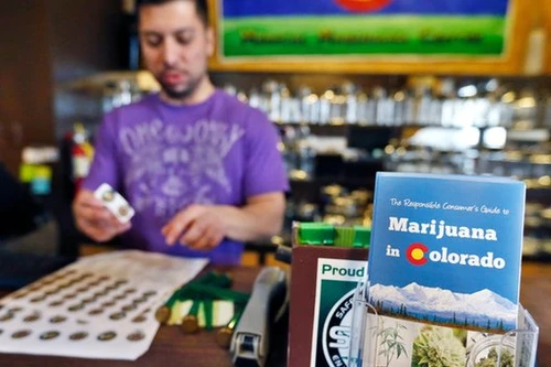 Cần sa chính thức được phép bán công khai