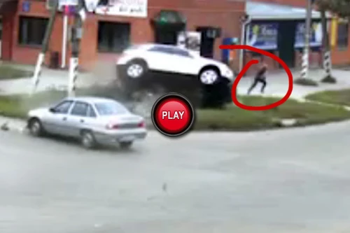 Video cú thoát chết ngoạn mục ngay trước mũi ô tô