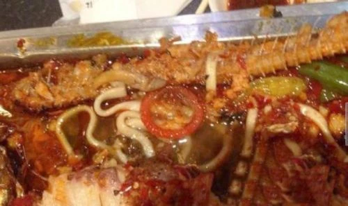 Thực khách nhai phải bao cao su trong đĩa mực ống 