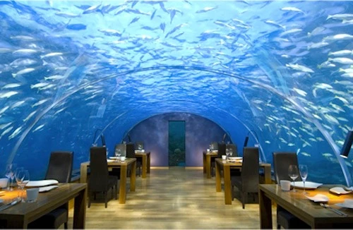 10 nhà hàng kỳ quặc nhất thế giới