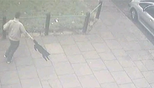 Video gây sốc: một thanh niên hành hạ mèo dã man 