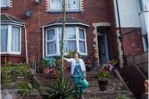 Cây xương rồng cao lên 6 mét chỉ trong 5 tuần