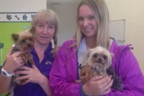 Vợ tài tử Johnny Depp phải ra tòa vì... chó