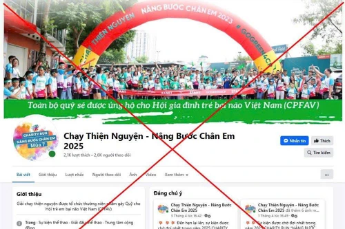 Cảnh báo giả mạo giải chạy thiện nguyện "Nâng bước chân em"