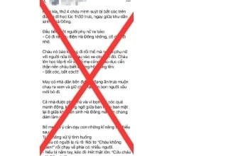 Thông tin 'bắt cóc trẻ em'' trên địa bàn phường Hà Đông là không chính xác 