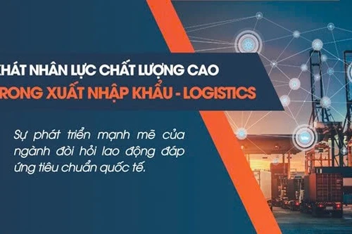 Xuất Nhập Khẩu Lê Ánh và lời giải cho bài toán khát nhân lực ngành xuất nhập khẩu – Logistics