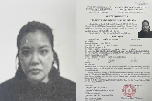 Người đàn bà bị truy nã sau khi tham gia... đòi nợ 1,7 tỷ đồng