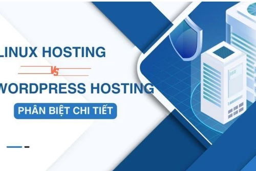 Linux vs WordPress hosting: Nhân Hòa trở thành lựa chọn tin cậy của nhiều người dùng 